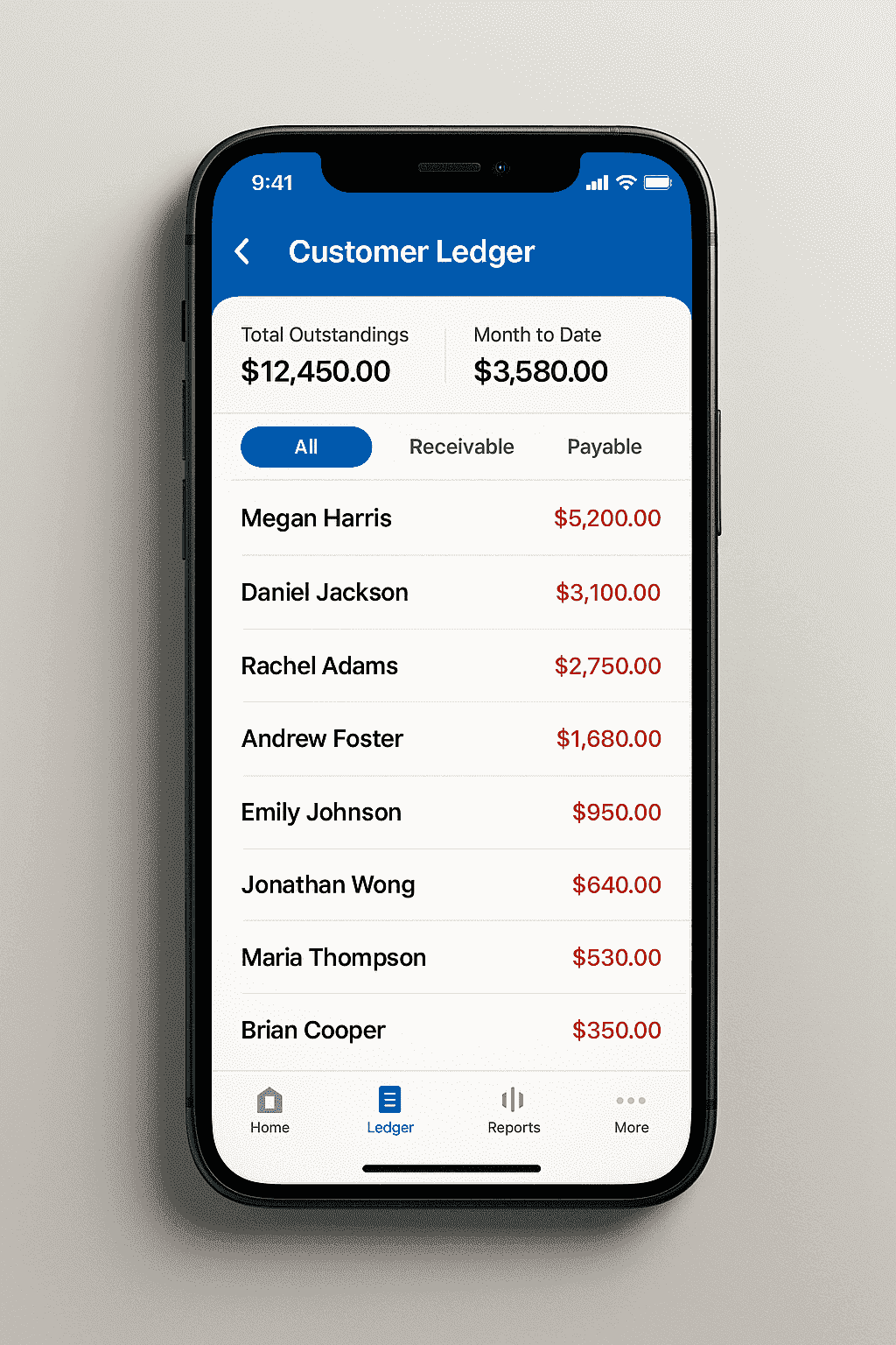 Customer Ledger